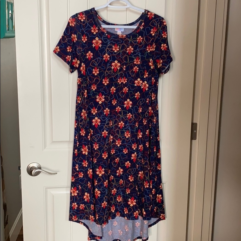 LuLaRoe dress